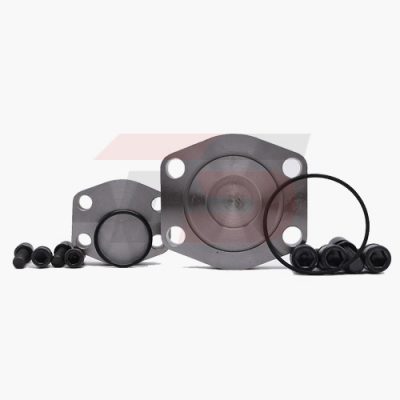 mặt bích mù tiêu chuẩn SAE