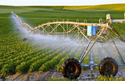 nong-nghiep-thuy-luc-2